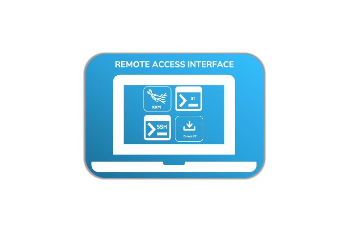 Remote Access Interface (browser based)